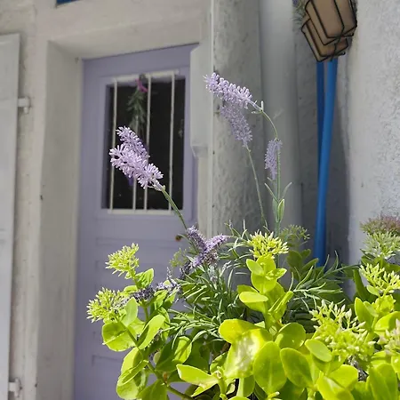 House Arija *